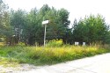 2und4msd.f33.jpg