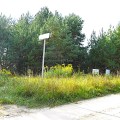 2und4msd.f33.jpg